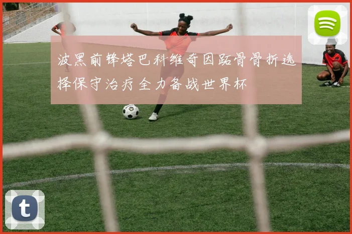 波黑前锋塔巴科维奇因跖骨骨折选择保守治疗全力备战世界杯