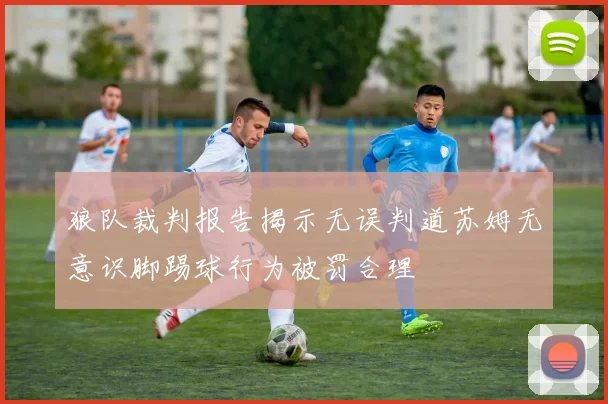 狼队裁判报告揭示无误判道苏姆无意识脚踢球行为被罚合理