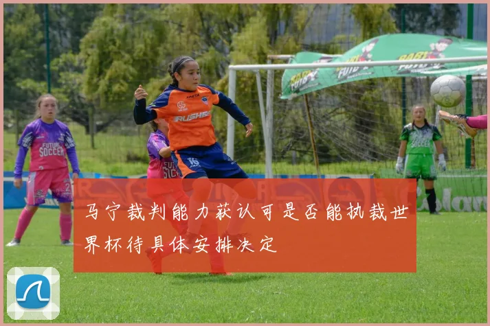 马宁裁判能力获认可是否能执裁世界杯待具体安排决定
